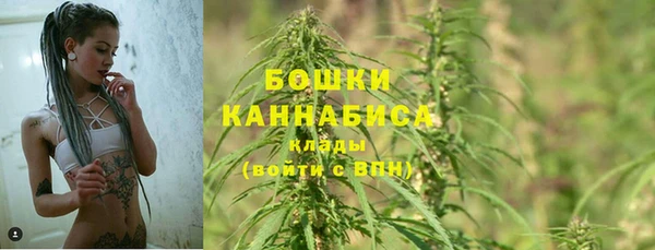 гидра Армянск