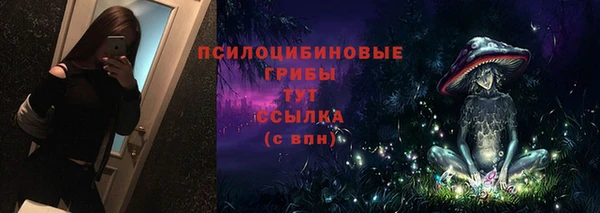 apvp Аркадак