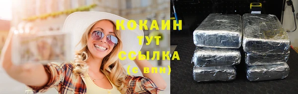 гидра Армянск