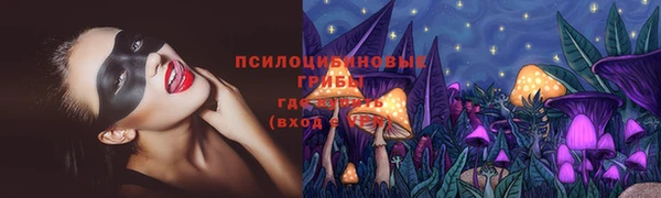 apvp Нязепетровск