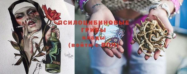 apvp Аркадак