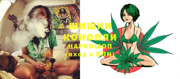 гидра Армянск
