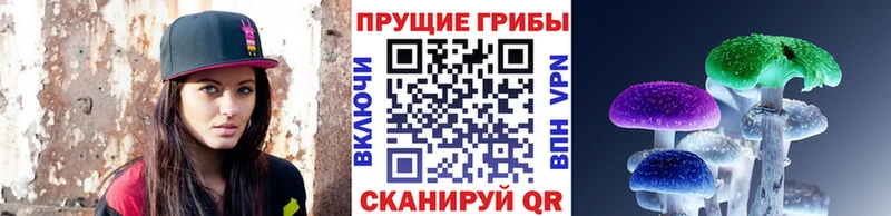 наркошоп  Саянск  Псилоцибиновые грибы Cubensis 